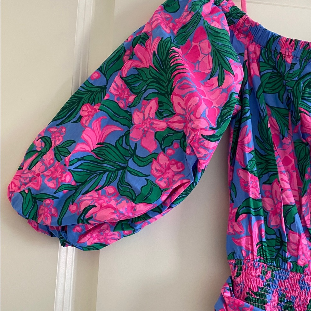 Lilly Pulitzer Pink and Blue Floral Maxi Dress - Picture 4 of 6
